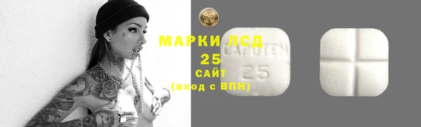 mdma Бородино